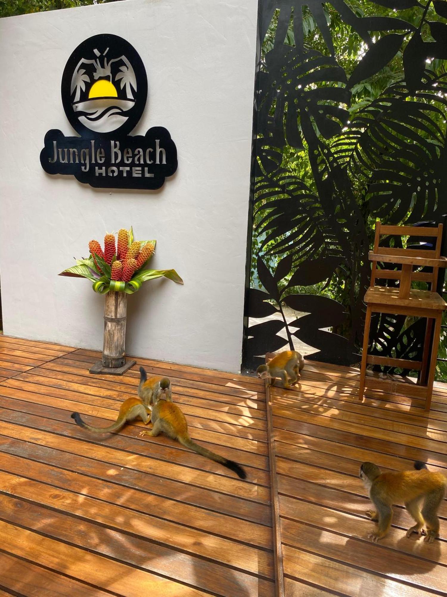 Jungle Beach Hotel Manuel Antonio Esterno foto