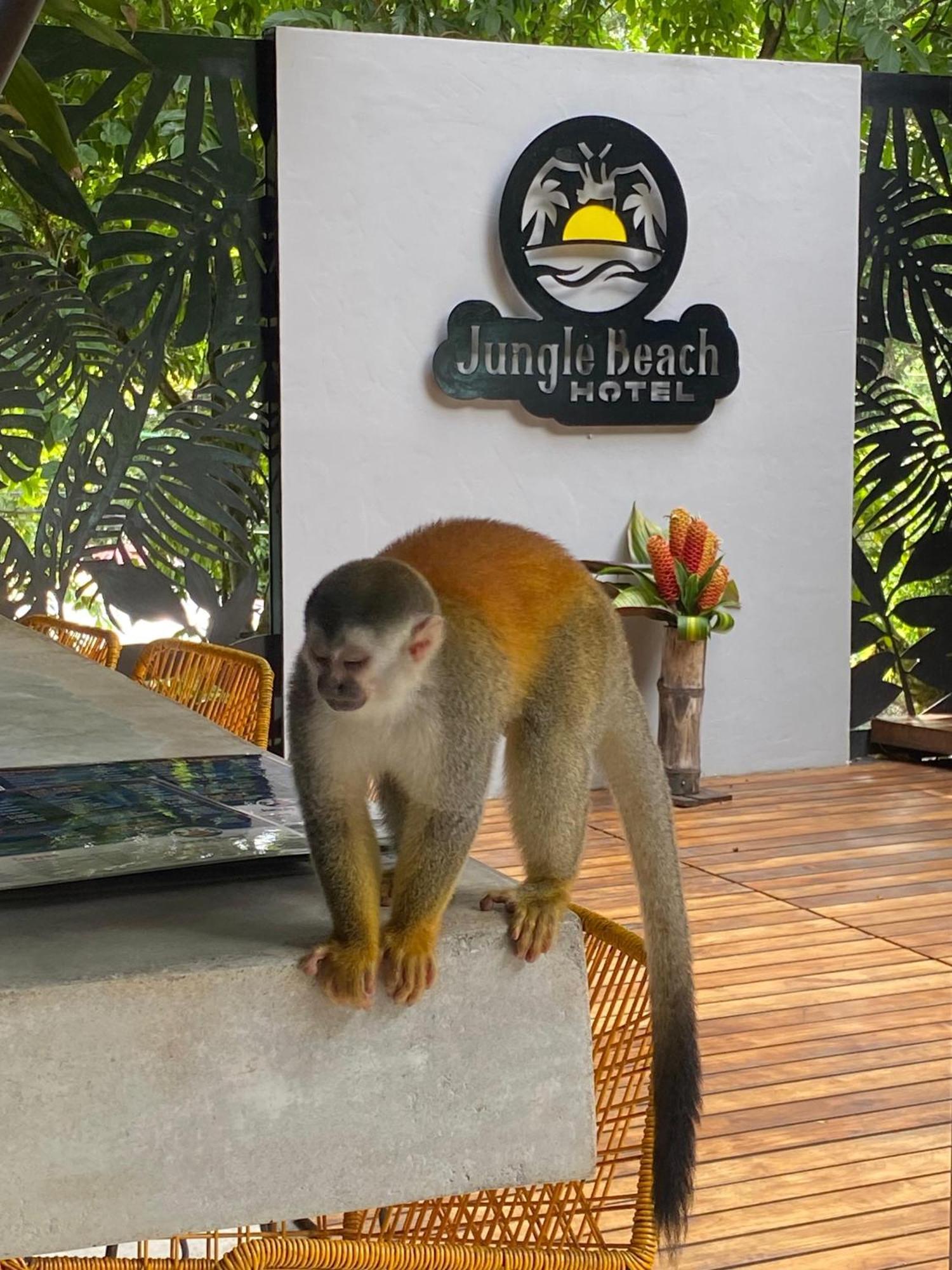Jungle Beach Hotel Manuel Antonio Esterno foto